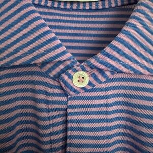 Striped Blue and Pink Polo Shirt